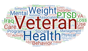 Dr. Hoerster's publication titles indicate their primary work is care of Veterans