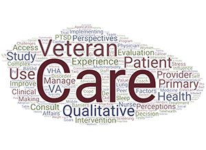 Dr. Sayre's publication titles indicate his primary work is care of Veterans