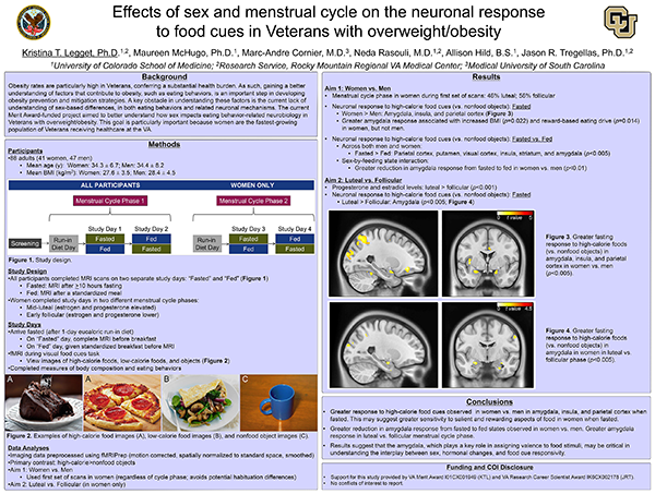 Effects of sex and menstrual cycle phase on the neuronal response to food cues in Veterans with overweight/obesity