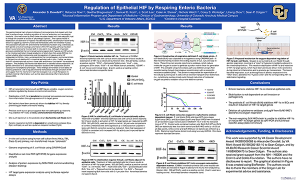 Regulation of Epithelial HIF by Probiotic Escherichia coli